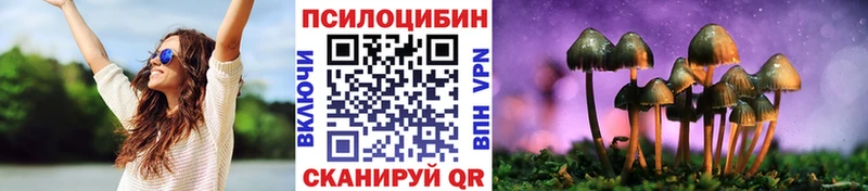 Купить где  Волжск  Галлюциногенные грибы MAGIC MUSHROOMS 